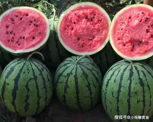 娱乐吃瓜姐买鸭,揭秘“吃瓜姐买鸭”背后的故事